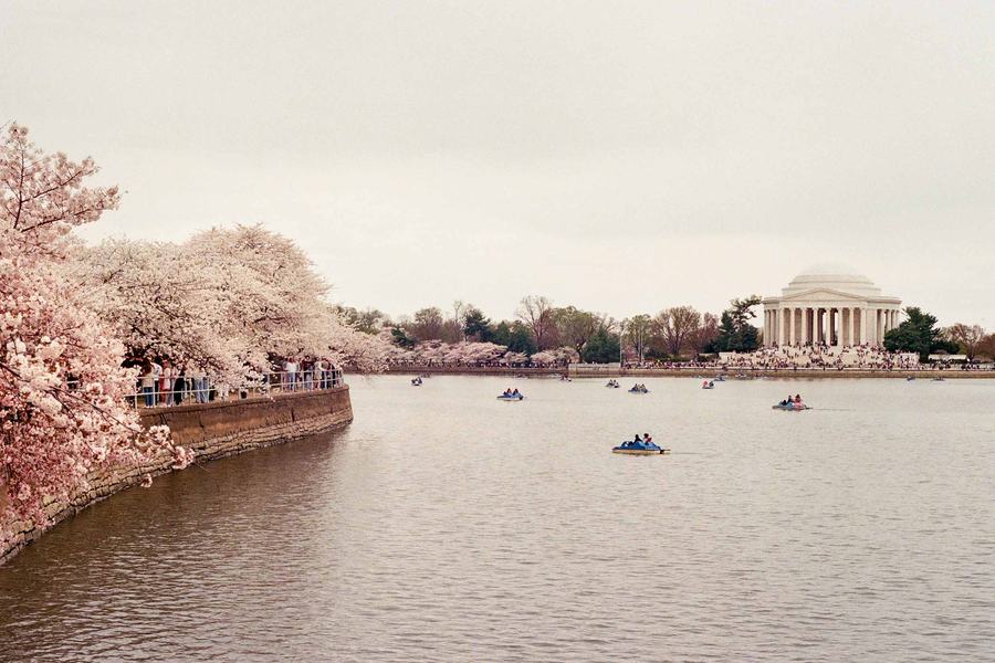 Tidal Basin