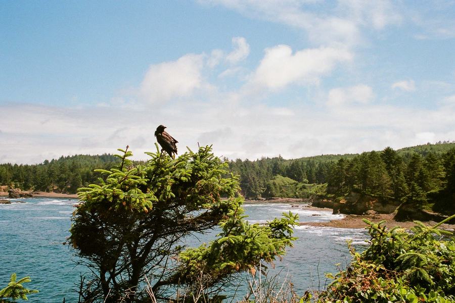 Boiler Bay, OR
