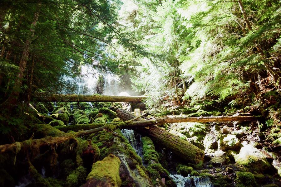 Proxy Falls, OR
