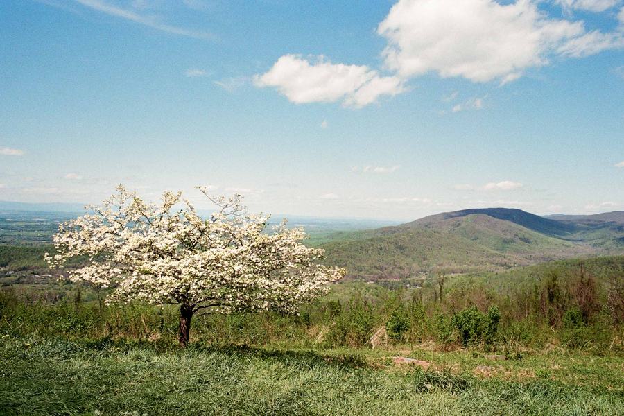 Skyline Dr, VA