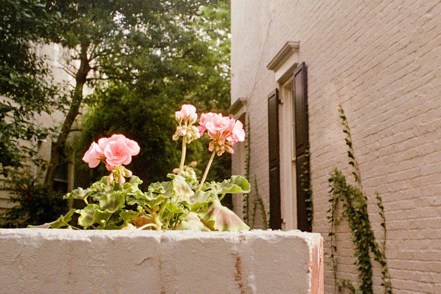 Georgetown, D.C.